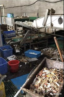 消毒餐具廠調(diào)查 車間堆積食物殘渣 工人臟手套擦杯盤